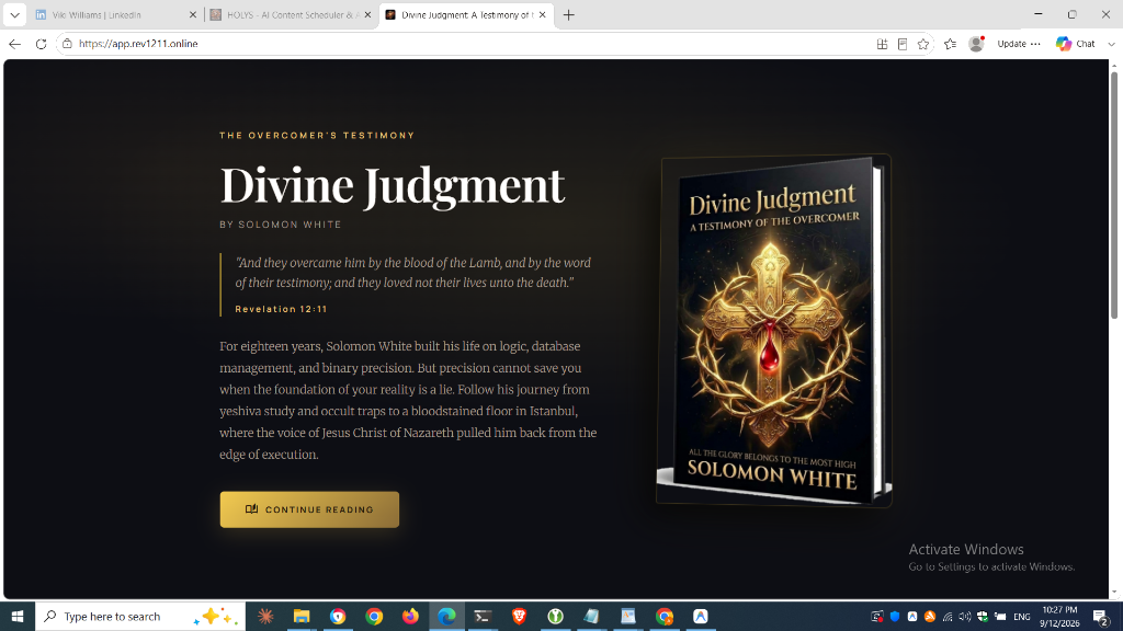 Divine Judgment Book Cover